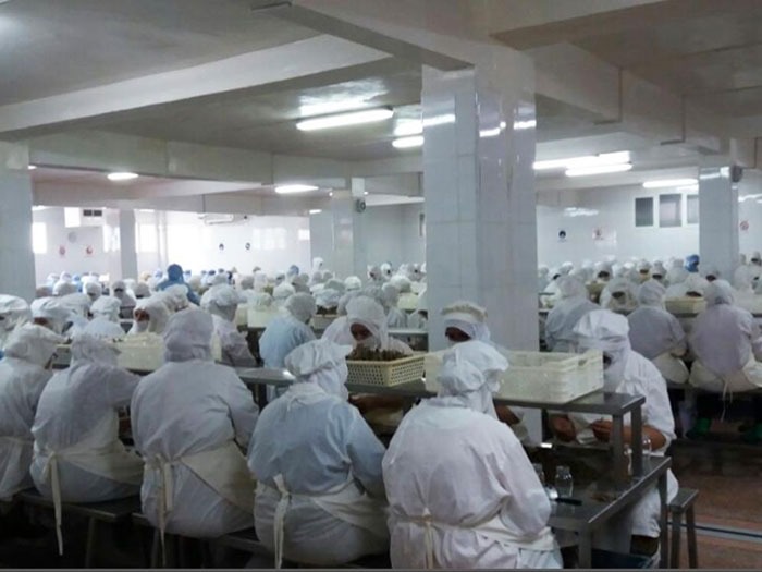 La sala di lavorazione dello stabilimento Mari Blue